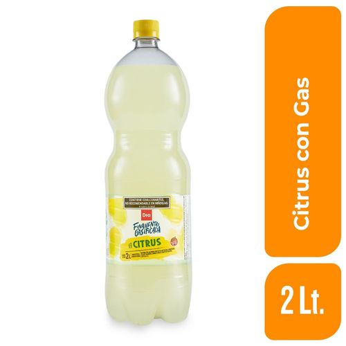 Agua Saborizada con Gas Dia Citrus 2 Lt.