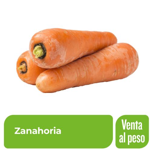 Zanahoria x Kg.