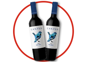 Cantus